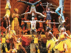 Cirque Africa - Newcastle