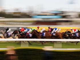 Aquis Park - Home of the Gold Coast Turf Club and Event Centre