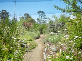 Edible Forest Yarra Valley