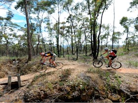 Goldfields Track