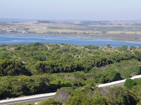 Pelican Lagoon