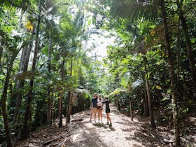 The Airlie Creek Track