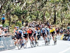 Santos Tour Down Under - THINK! Road Safety Men