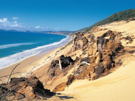 Cooloola, Great Sandy National Park