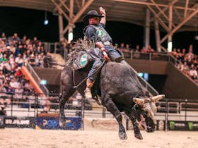 PBR Monster Energy Tour Mackay Invitational