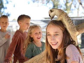 Hunter Valley Wildlife Park