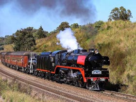 Moss Vale Picnic Train