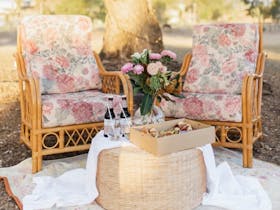 Styled picnic with The Soul Nook Collective