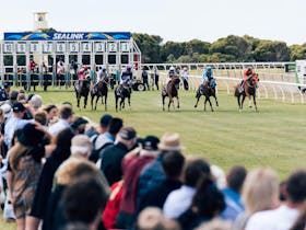 SeaLink Kangaroo Island Racing Carnival