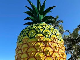 The Big Pineapple