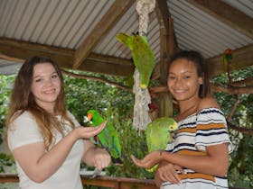 Birdworld Kuranda