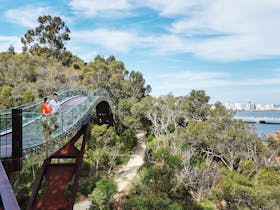 Lotterywest Federation Walkway - Kings Park