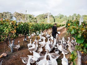 Margaret River Small Family Winery Trail