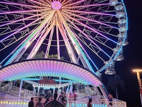 The Reef Eye Ferris Wheel