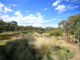 Bullocks Walking Track