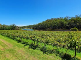 Jubilee Vineyard Estate