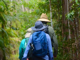 Great Noosa Trail Walk