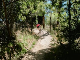 Black Hill Reserve and Mountain Bike Trails