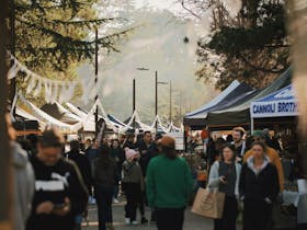 Haig Park Village Markets