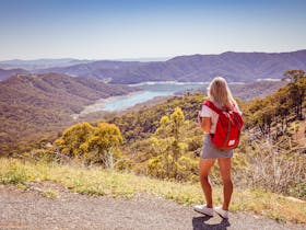 Skyline Road Lookout