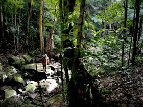 Strickland State Forest