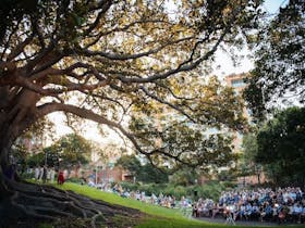 Shakespeare Under the Stars - Newcastle