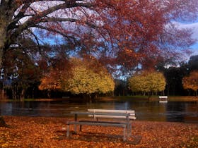 Bells Parade Reserve