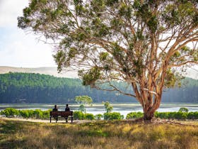 Myponga Reservoir Reserve