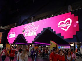 Perth Wildcats v South East Melbourne Phoenix- Pink Game for BCCWA