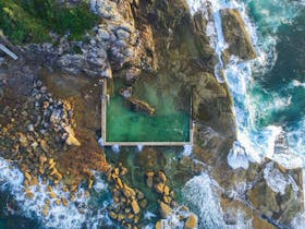 North Curl Curl Rockpool