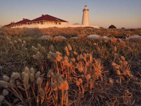 Cape Willoughby Heritage Trail