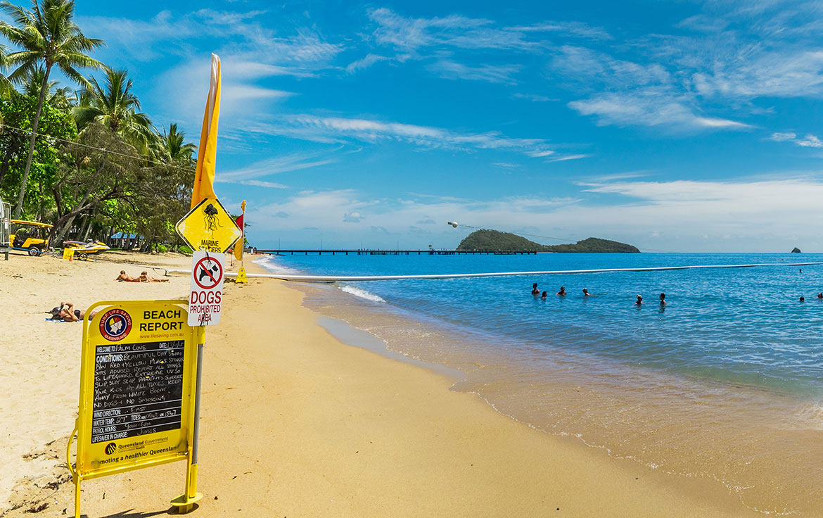 AVC-APC-_Facilities-00561724_paniniV2 The Sebel Palm Cove