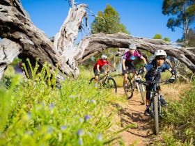 School Holiday Mountain Bike Skills Clinic - O