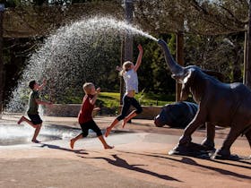 Taronga Western Plains Zoo - Zoo Cafe and Bar and The Waterhole