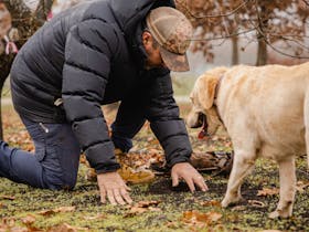 Truffles of Tasmania