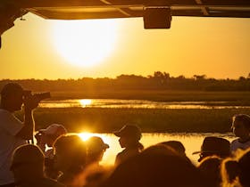 Yellow Water Stargazing Cruise