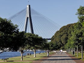 Blackwattle Bay Park