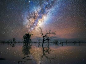 Burleigh Heads Milky Way Masterclass