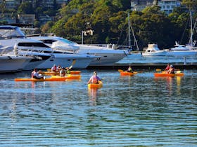 Free Learn to Kayak Lesson