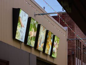 Laneway Lightbox Open-Air Gallery