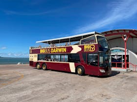 Big Bus Darwin