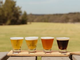 Hunter Valley Beer and Barbeque Festival