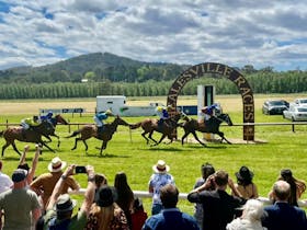 Healesville Picnic Races Christmas Time