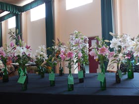 Latrobe Lilium Show