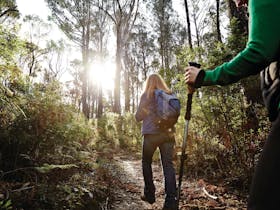 Kinglake National Park