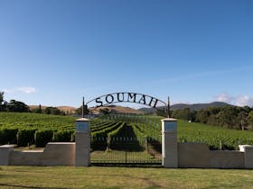 SOUMAH of Yarra Valley