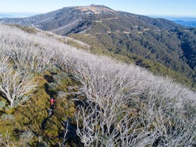 Mt Buller Bike Park