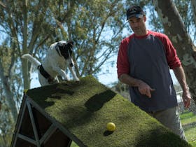 Junee Agility Dog Park