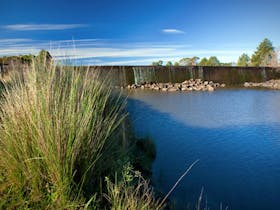 Cecil Hoskins Nature Reserve