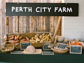 Perth City Farm - Farmer